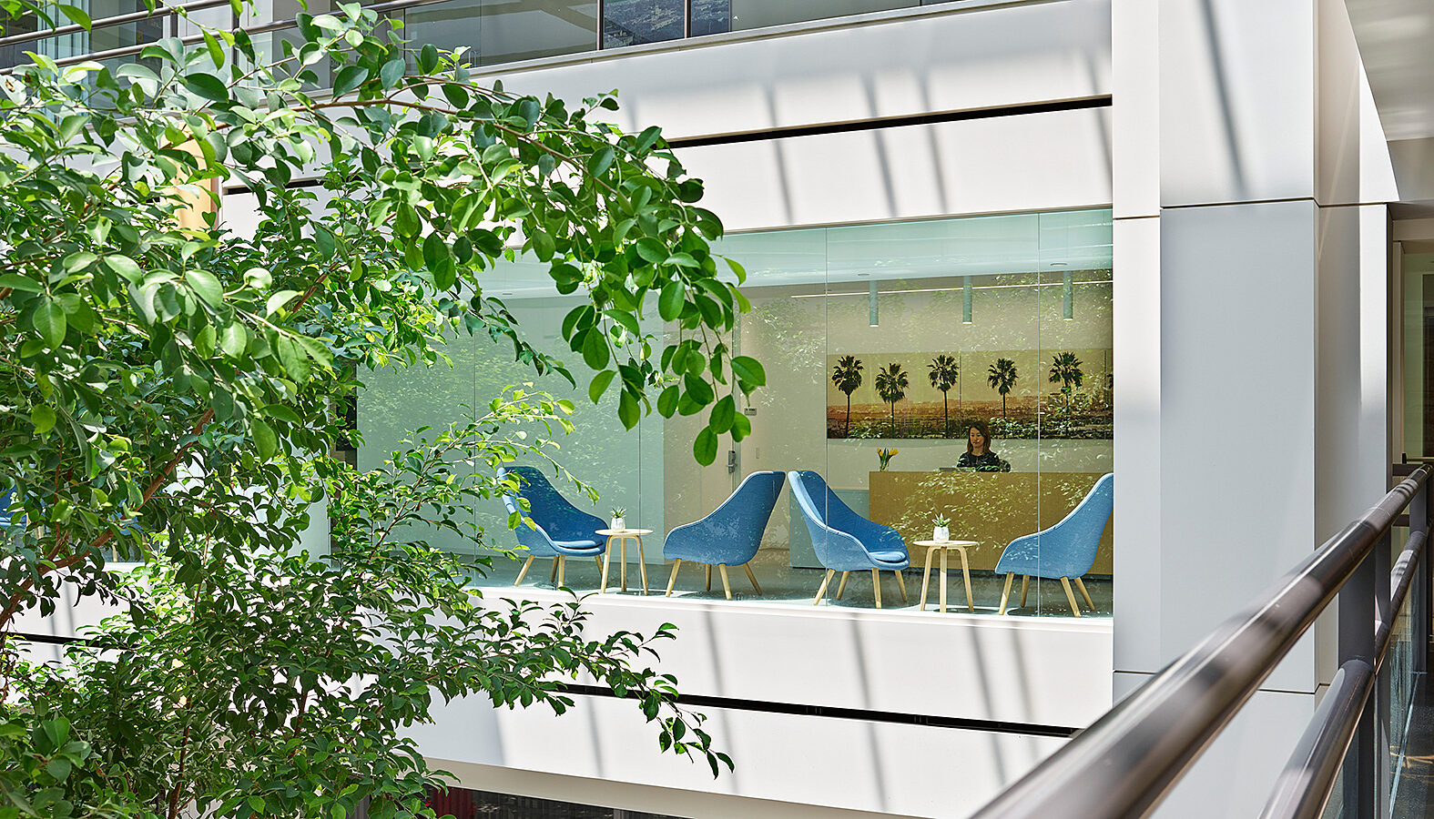 Center trees create a refreshing atmosphere, while lounge chairs and a reception desk near the windows offer a productive and relaxing environment.