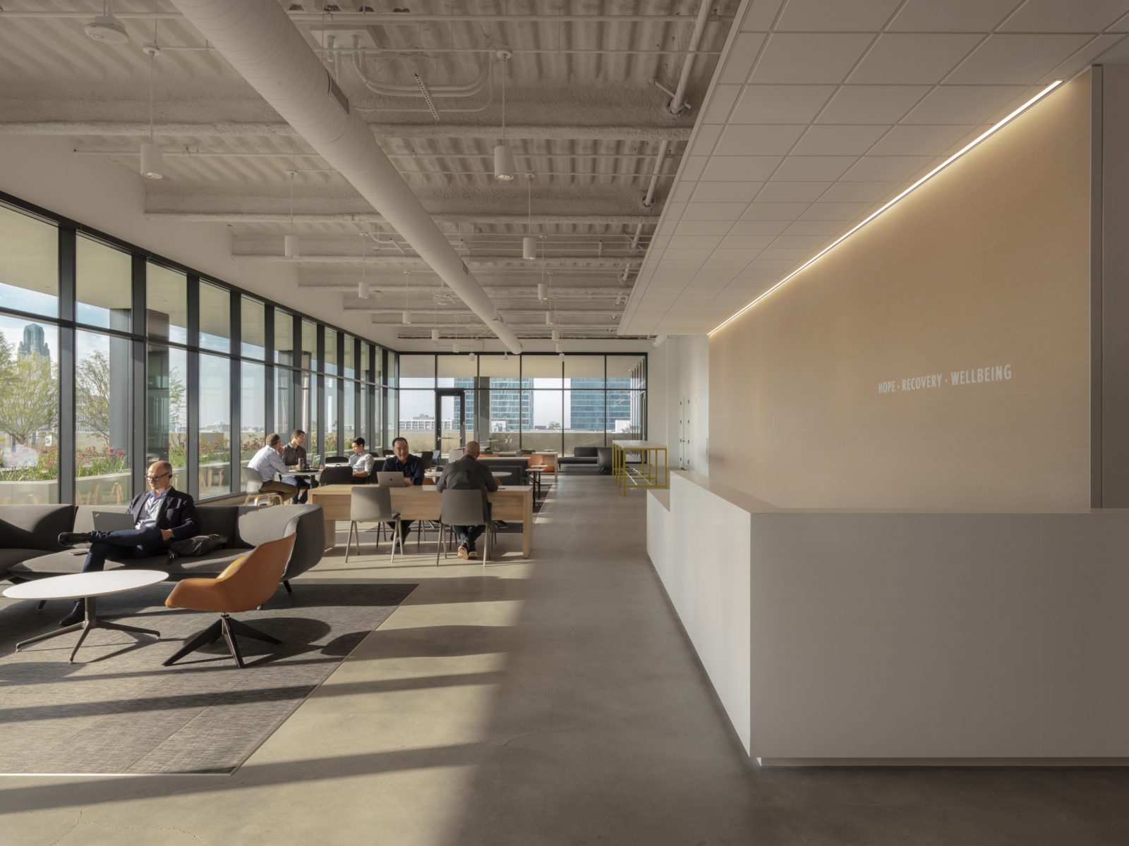 SHERIDAN GROUP | Los Angeles County Department of Mental Health