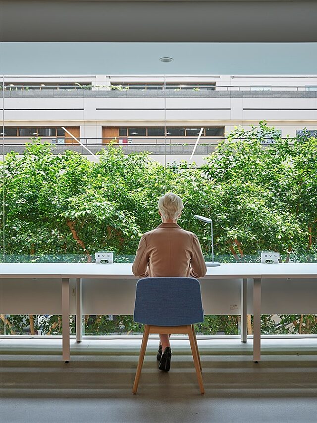 A blue side chair with wooden legs and a work table with power is positioned in front of a glass wall with lush trees as a beautiful natural backdrop.